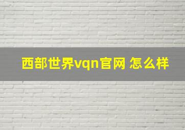 西部世界vqn官网 怎么样